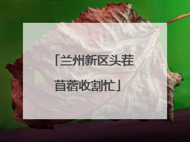 兰州新区头茬苜蓿收割忙