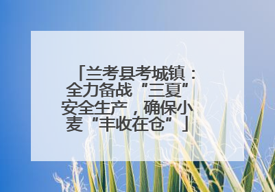 兰考县考城镇：全力备战“三夏”安全生产，确保小麦“丰收在仓”