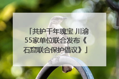 共护千年瑰宝 川渝55家单位联合发布《石窟联合保护倡议》