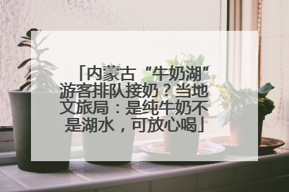 内蒙古“牛奶湖”游客排队接奶？当地文旅局：是纯牛奶不是湖水，可放心喝