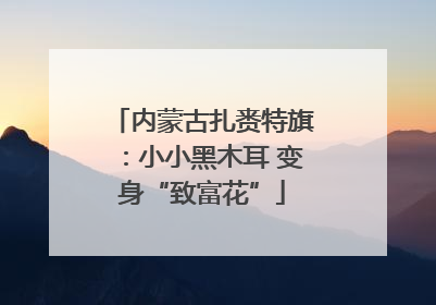 内蒙古扎赉特旗：小小黑木耳 变身“致富花”