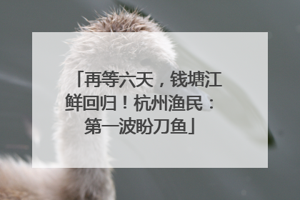 再等六天，钱塘江鲜回归！杭州渔民：第一波盼刀鱼