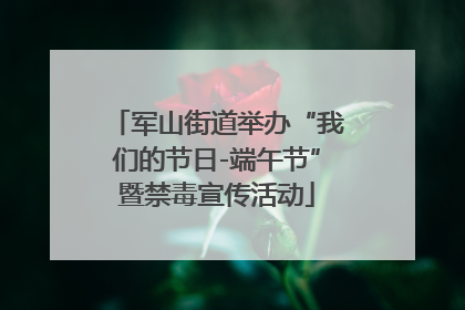 军山街道举办“我们的节日-端午节”暨禁毒宣传活动