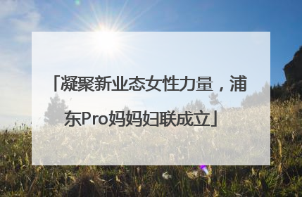 凝聚新业态女性力量，浦东Pro妈妈妇联成立