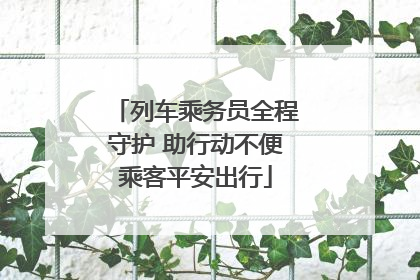 列车乘务员全程守护 助行动不便乘客平安出行