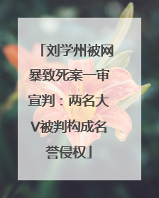 刘学州被网暴致死案一审宣判：两名大V被判构成名誉侵权