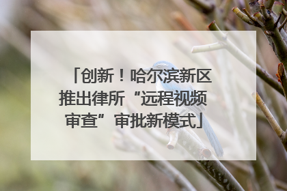 创新！哈尔滨新区推出律所“远程视频审查”审批新模式