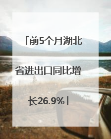 前5个月湖北省进出口同比增长26.9%
