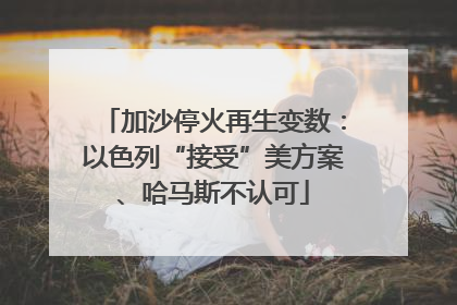 加沙停火再生变数：以色列“接受”美方案、哈马斯不认可