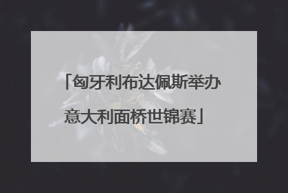 匈牙利布达佩斯举办意大利面桥世锦赛