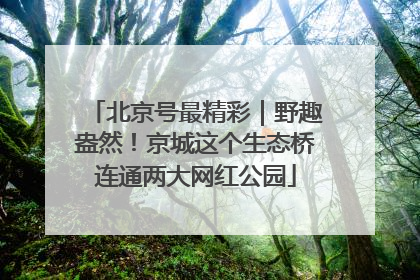 北京号最精彩｜野趣盎然！京城这个生态桥连通两大网红公园