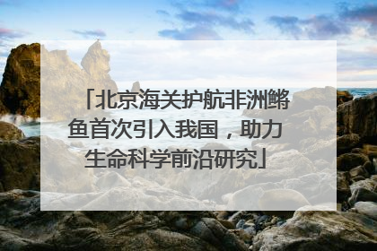 北京海关护航非洲鳉鱼首次引入我国，助力生命科学前沿研究