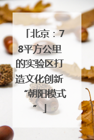 北京：78平方公里的实验区打造文化创新“朝阳模式”