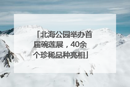 北海公园举办首届碗莲展，40余个珍稀品种亮相