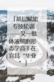 基层赋能 专技轮训——又一批体液细胞形态学高手在宜昌“毕业”