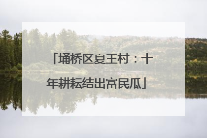 埇桥区夏王村：十年耕耘结出富民瓜