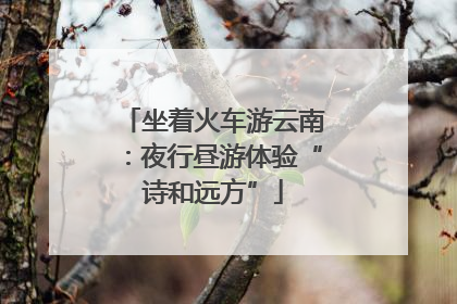 坐着火车游云南：夜行昼游体验“诗和远方”