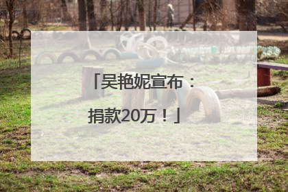 吴艳妮宣布：捐款20万！