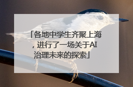 各地中学生齐聚上海，进行了一场关于AI治理未来的探索