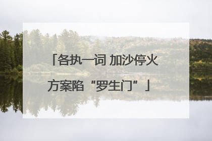各执一词 加沙停火方案陷“罗生门”