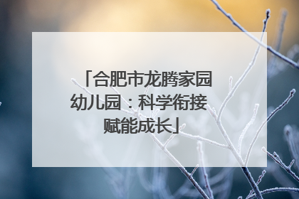 合肥市龙腾家园幼儿园：科学衔接 赋能成长