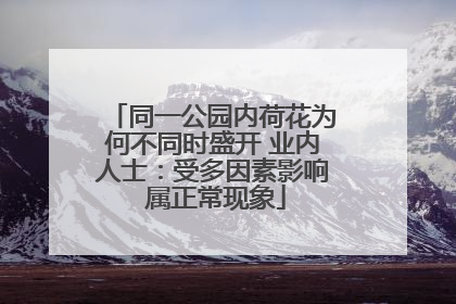 同一公园内荷花为何不同时盛开 业内人士：受多因素影响 属正常现象
