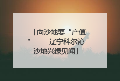 向沙地要“产值”——辽宁科尔沁沙地兴绿见闻