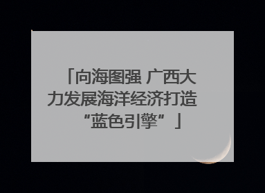 向海图强 广西大力发展海洋经济打造“蓝色引擎”