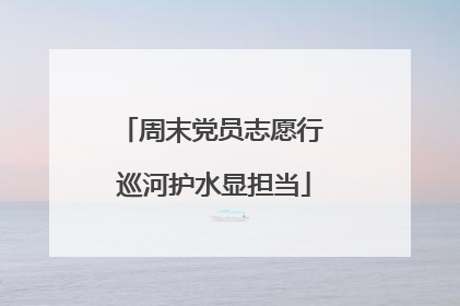 周末党员志愿行 巡河护水显担当