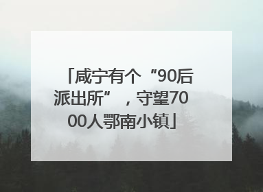 咸宁有个“90后派出所”，守望7000人鄂南小镇
