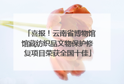 喜报！云南省博物馆馆藏纺织品文物保护修复项目荣获全国十佳