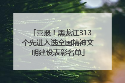 喜报！黑龙江313个先进入选全国精神文明建设表彰名单