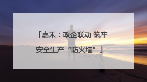 嘉禾：政企联动 筑牢安全生产“防火墙”