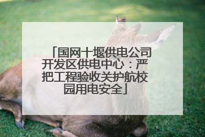 国网十堰供电公司开发区供电中心：严把工程验收关护航校园用电安全