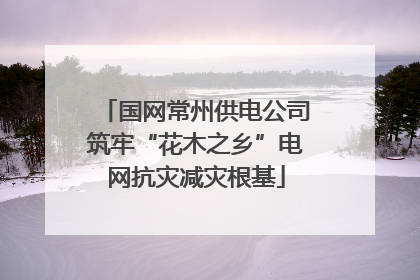 国网常州供电公司筑牢“花木之乡”电网抗灾减灾根基