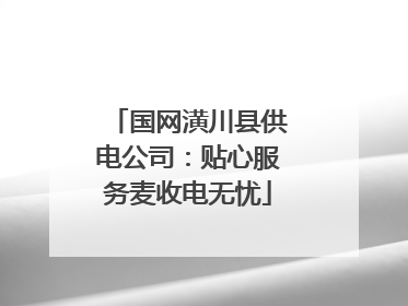 国网潢川县供电公司：贴心服务麦收电无忧
