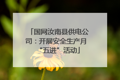 国网汝南县供电公司：开展安全生产月“五进”活动