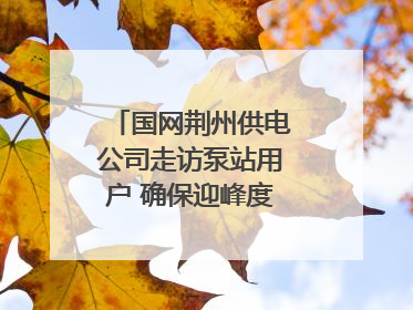 国网荆州供电公司走访泵站用户 确保迎峰度夏用电安全