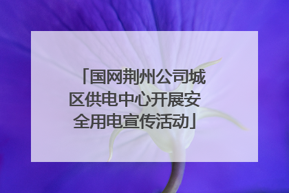 国网荆州公司城区供电中心开展安全用电宣传活动