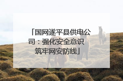 国网遂平县供电公司：强化安全意识 筑牢网安防线