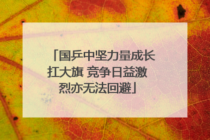 国乒中坚力量成长扛大旗 竞争日益激烈亦无法回避