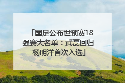 国足公布世预赛18强赛大名单：武磊回归 杨明洋首次入选