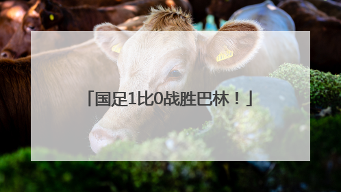 国足1比0战胜巴林！