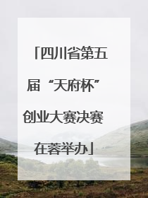 四川省第五届“天府杯”创业大赛决赛在蓉举办