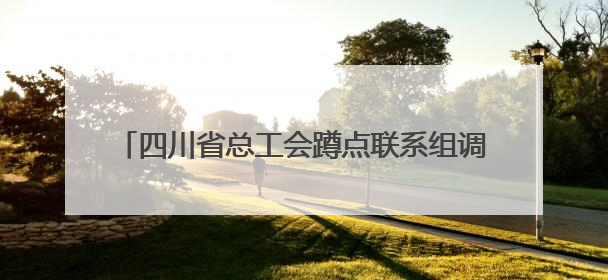 四川省总工会蹲点联系组调研达州市达川区工会工作