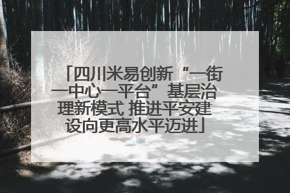 四川米易创新“一街一中心一平台”基层治理新模式 推进平安建设向更高水平迈进