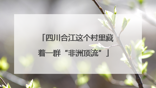 四川合江这个村里藏着一群“非洲顶流”