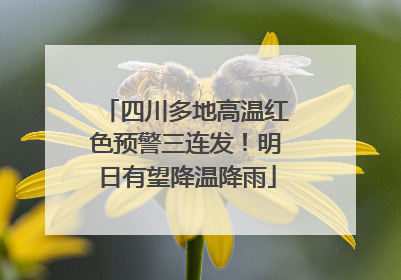 四川多地高温红色预警三连发！明日有望降温降雨