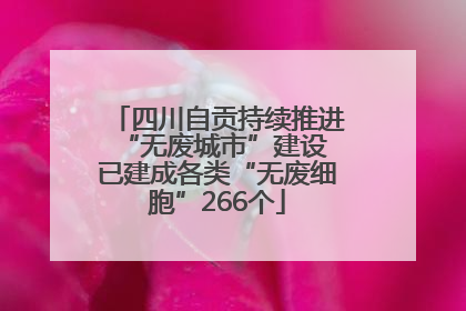 四川自贡持续推进“无废城市”建设 已建成各类“无废细胞”266个