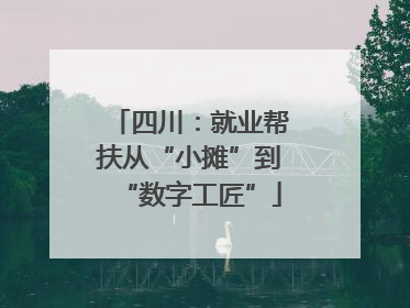 四川：就业帮扶从“小摊”到“数字工匠”